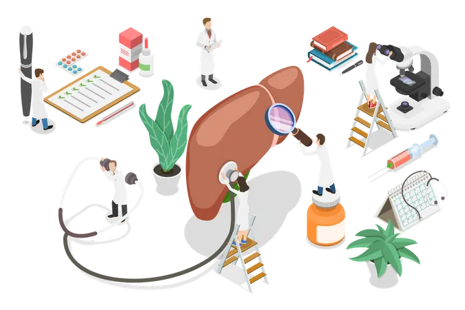 Liver diagnosis and treatment Illustration