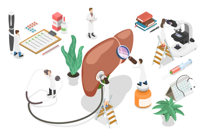 Liver diagnosis and treatment  Illustration