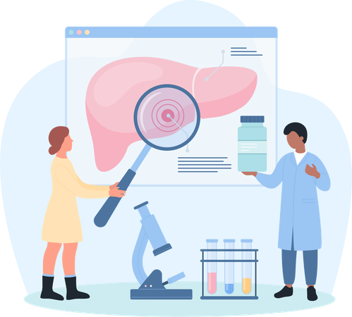 Liver diagnosis  Illustration