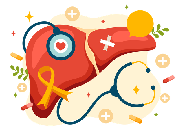 Liver Health  Illustration