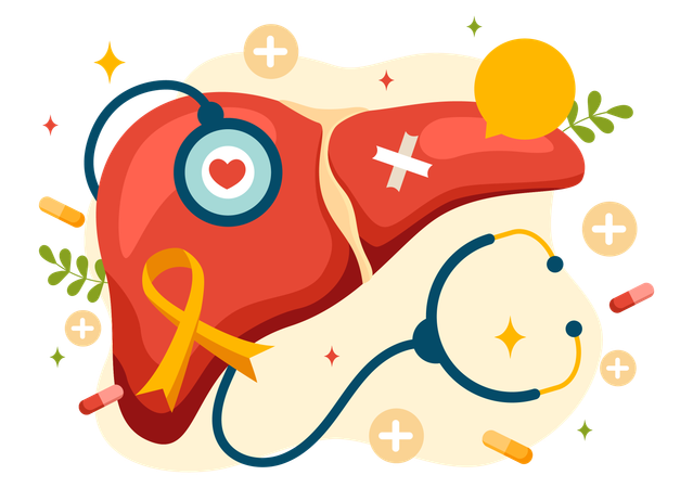 Liver Health  イラスト