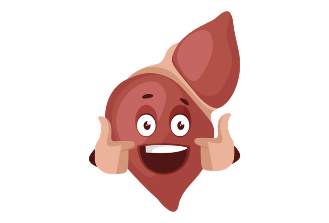 Liver is smiling and showing thumbs up Illustration
