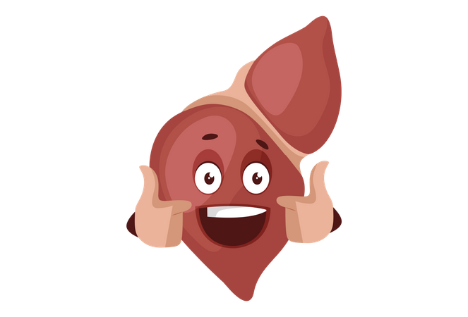 Liver is smiling and showing thumbs up  Illustration