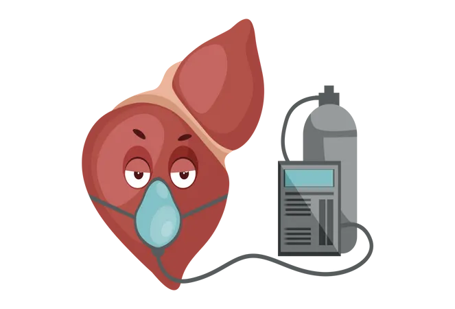 Liver with oxygen cylinder  Illustration