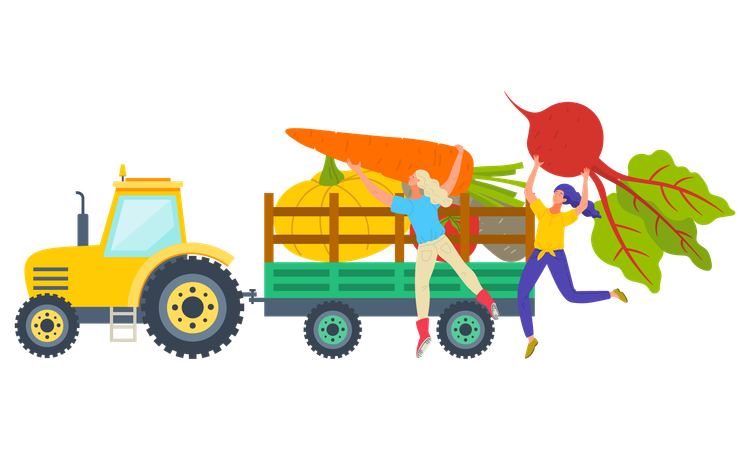 Livraison de légumes récoltés  Illustration