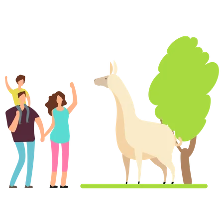 Llama at zoo  Illustration