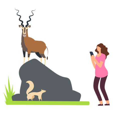 Long horned deer at zoo  Illustration