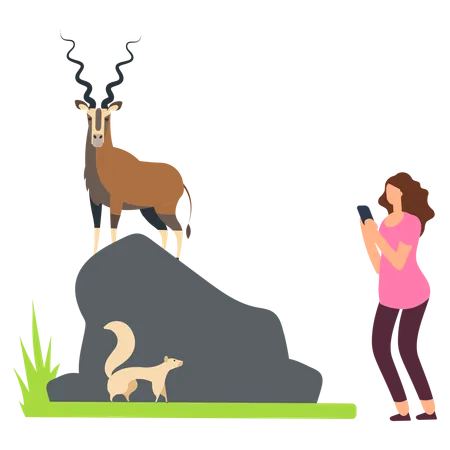 Long horned deer at zoo  Illustration