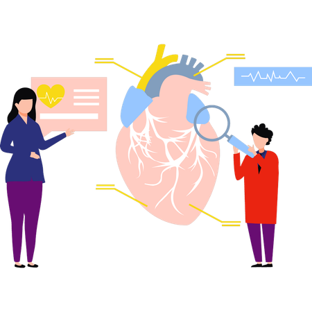 Los médicos están investigando el corazón.  Ilustración