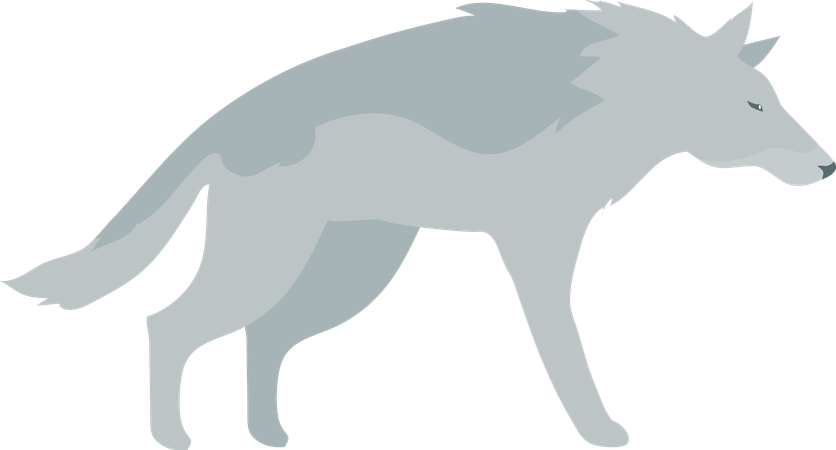 Loup  Illustration