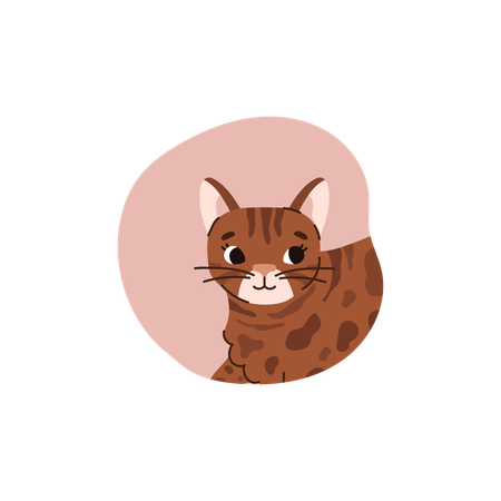 Lovely cute cat  Illustration