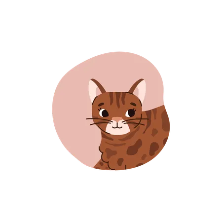 Lovely cute cat  Illustration