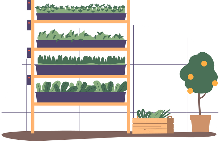 Lugar de invernadero para cultivar plantas verdes en un ambiente controlado.  Ilustración