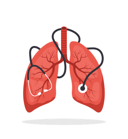 Lungs care concept. Medical check up. Big realistic lung with stethoscope. Flat Vector illustration  Illustration