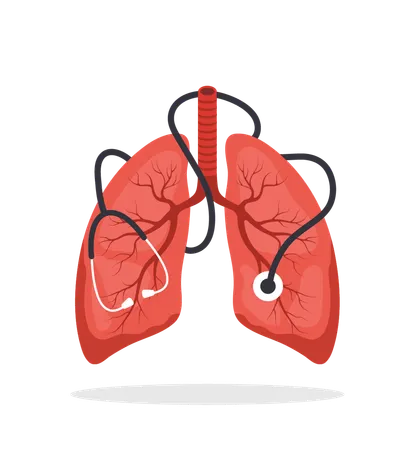 Lungs care concept. Medical check up. Big realistic lung with stethoscope. Flat Vector illustration  Illustration