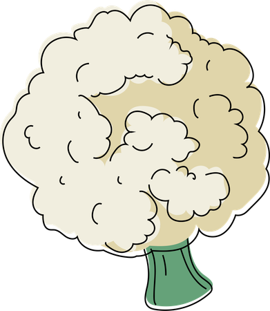 Lush Broccoli Floret  Illustration