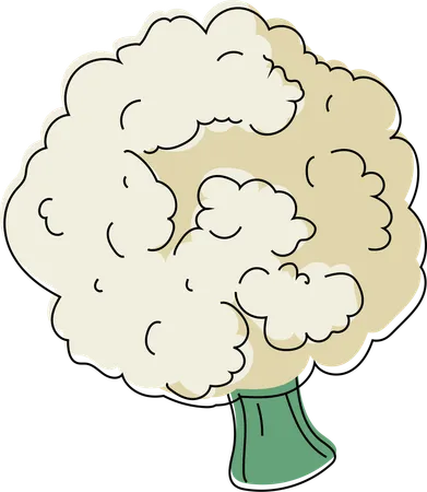 A Single Lush Broccoli Floret Captured In A Detailed Illustration Showcasing Its Textured Curds And Healthy Green Tones Ideal For Promoting Nutritious Diets Illustration