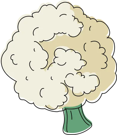 Lush Broccoli Floret  Illustration