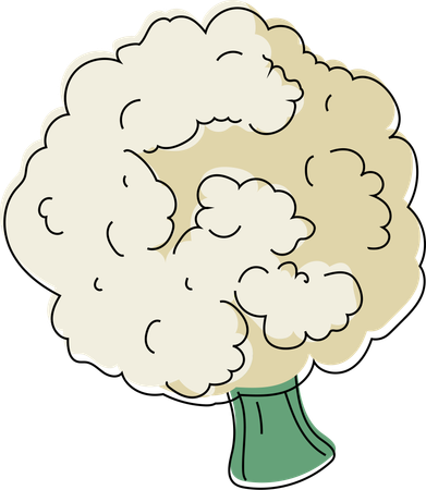 Lush Broccoli Floret  イラスト