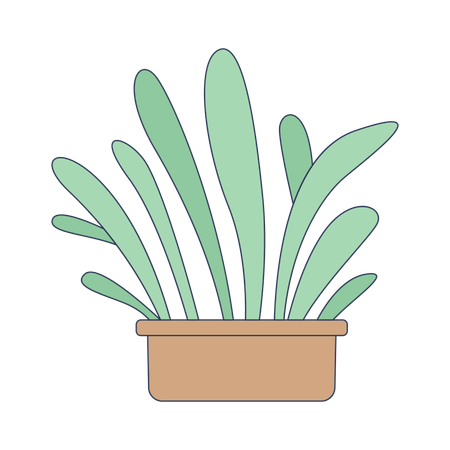 Lush plant growing in pot  Illustration