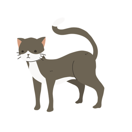 Lustige Katze  Illustration
