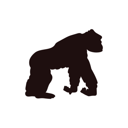 Macaco  Ilustração