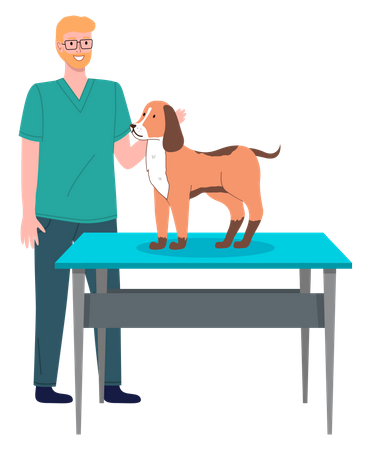Médico veterinário masculino trata cachorro  Ilustração