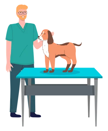 Medico Veterinario Trata Cachorro Ruivo No Consultorio Do Hospital Homem Acariciando Um Cachorrinho Em Pe Sobre Uma Mesa Medica Faz Lhe Um Exame Visita A Clinica Veterinaria Para Verificar A Saude Do Animal Cuidados Veterinarios Ilustração