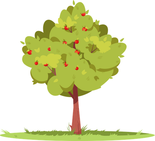 Macieira na floresta  Ilustração