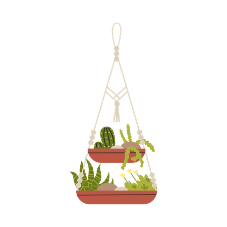 Macrame hangers for plants growing in pots  Illustration