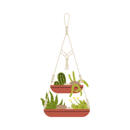 Macrame hangers for plants growing in pots  Illustration