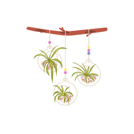 Macramé hangers for plants growing in pots on a wooden stick  Illustration