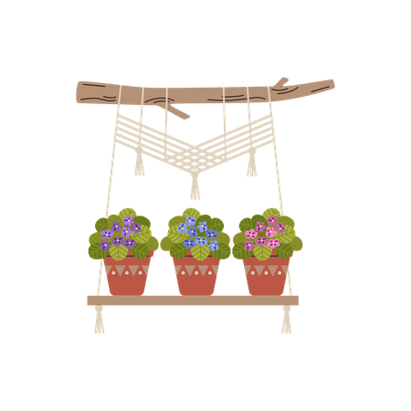 Macrame hangers for violet flowers growing in pots on a wooden stick  Illustration