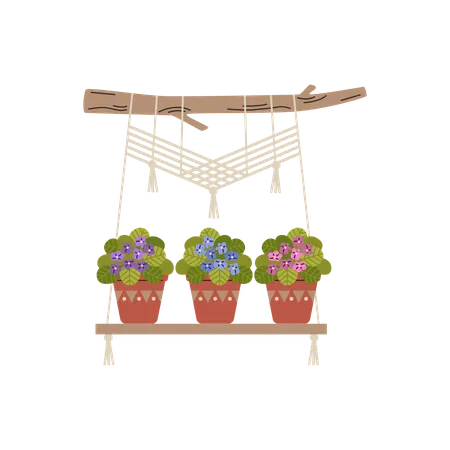 Macrame hangers for violet flowers growing in pots on a wooden stick  Illustration