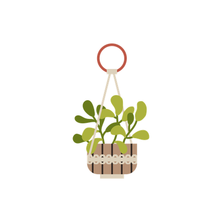 Macrame hangers on ring for green plants growing in pots  Illustration