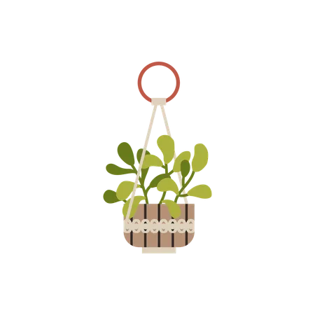 Macrame hangers on ring for green plants growing in pots  Illustration