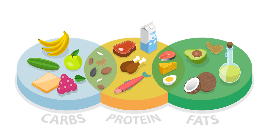 Macronutrients Chart, Dieting, Healthcare and Eutrophy  Illustration