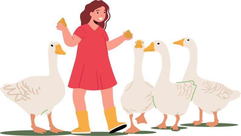 Mädchen füttert Enten mit Geflügel  Illustration