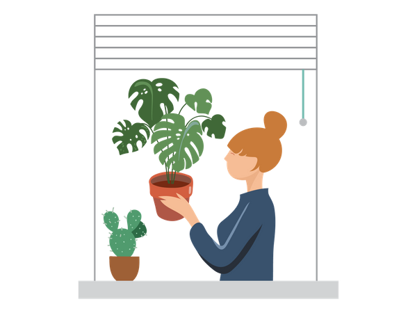 Mädchen stellt Blumentopf ins Fenster  Illustration