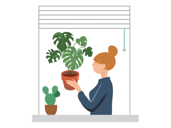 Mädchen stellt Blumentopf ins Fenster  Illustration