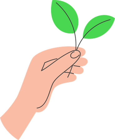 Main tenant une brindille verte avec des feuilles  Illustration
