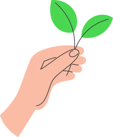 Main tenant une brindille verte avec des feuilles  Illustration