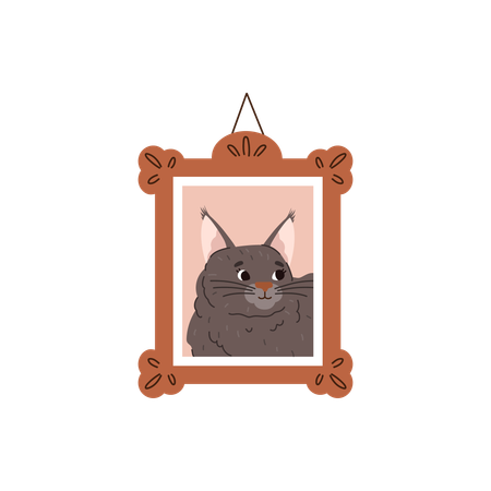 Gato Maine Coon em porta-retratos pendurado  Ilustração