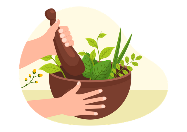 Making herbal medicine Illustration