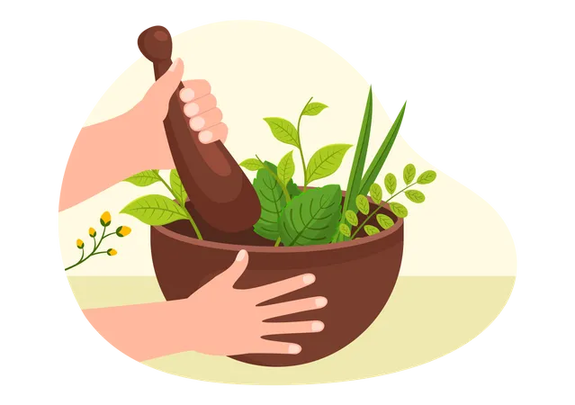 Making herbal medicine  Illustration