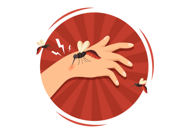 Malaria Mosquito  Illustration