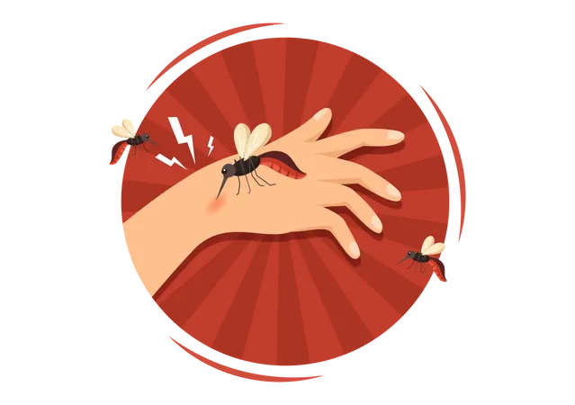 Malaria Mosquito  Illustration