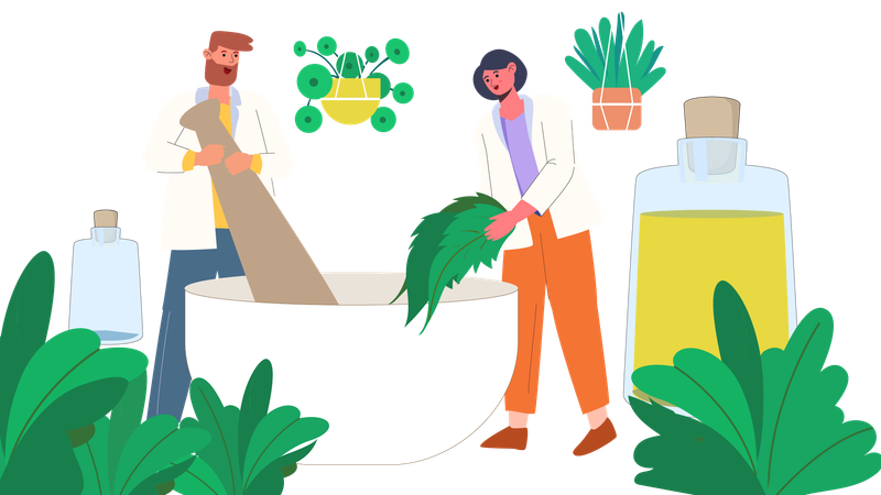 Male and female doctor making natural medicine  Illustration