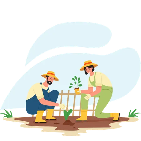 Male and Female farmer planting plant in Nursery  Illustration