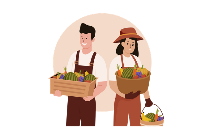 Male and female farmers harvesting fruit  Illustration